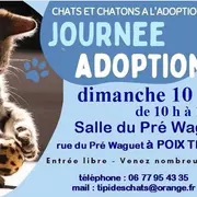 Journée adoption chats et chatons