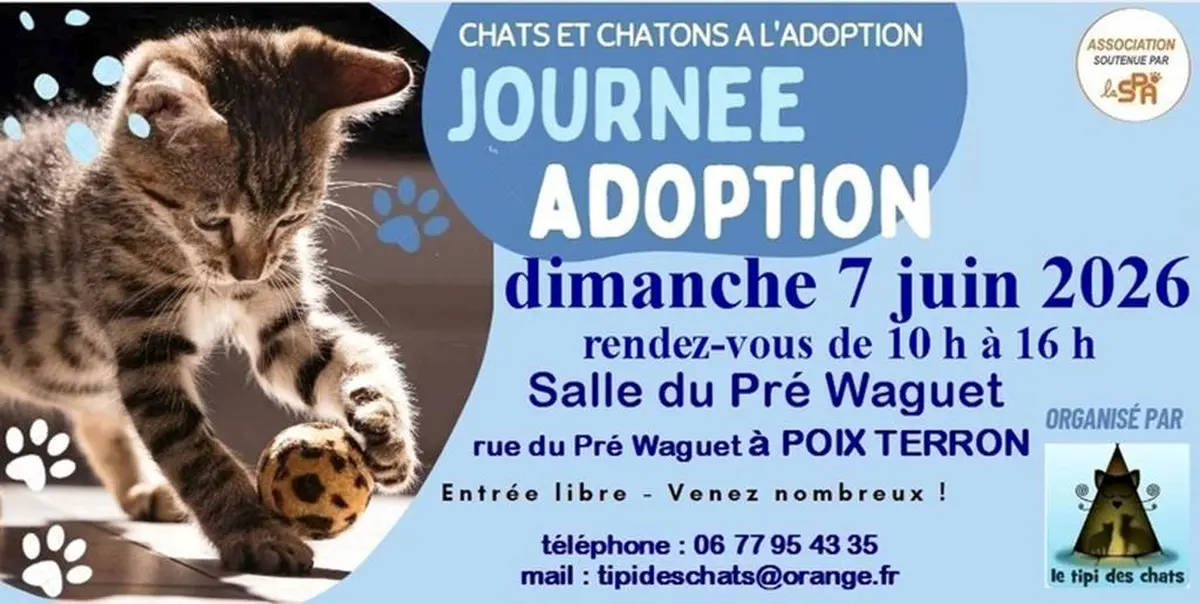 Journée adoption chats et chatons