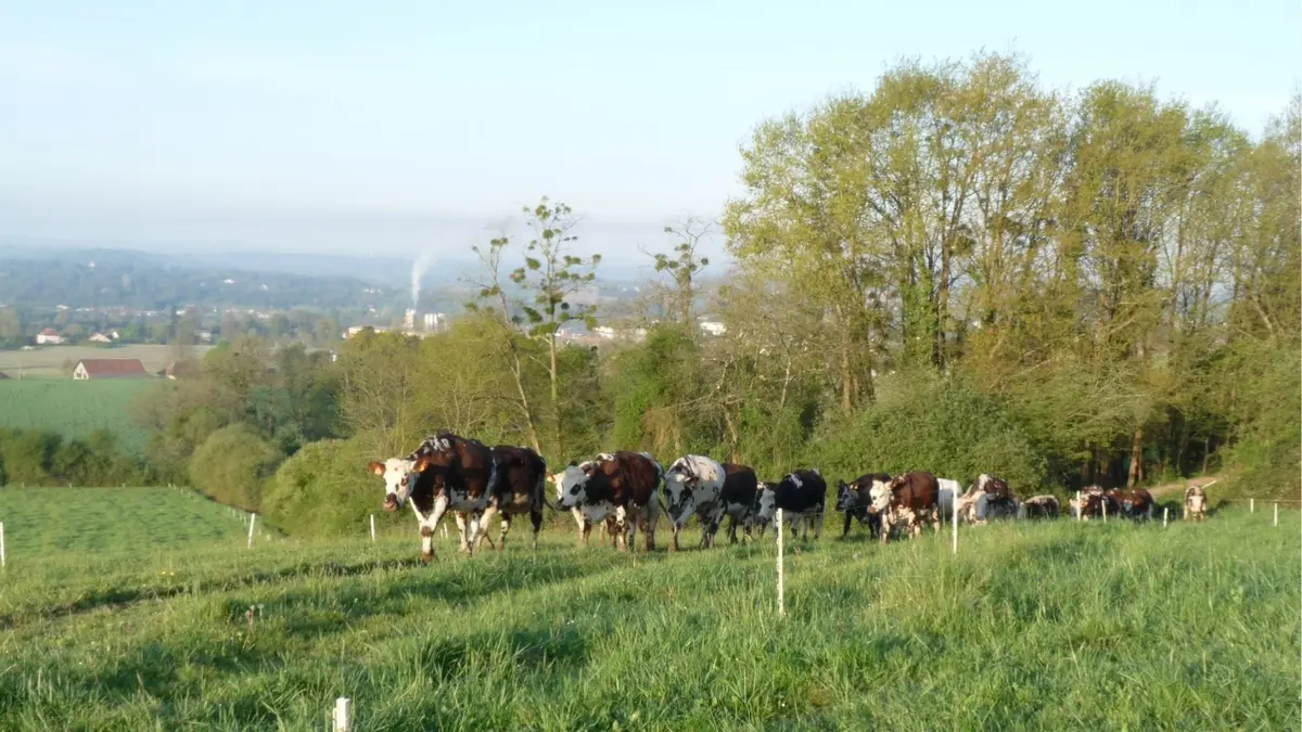 Journée agriculturelle