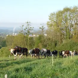 Journée agriculturelle