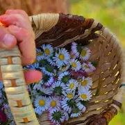 Journée Avec Les Secrets Des Cévennes