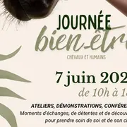 Journée bien-être chevaux et humains