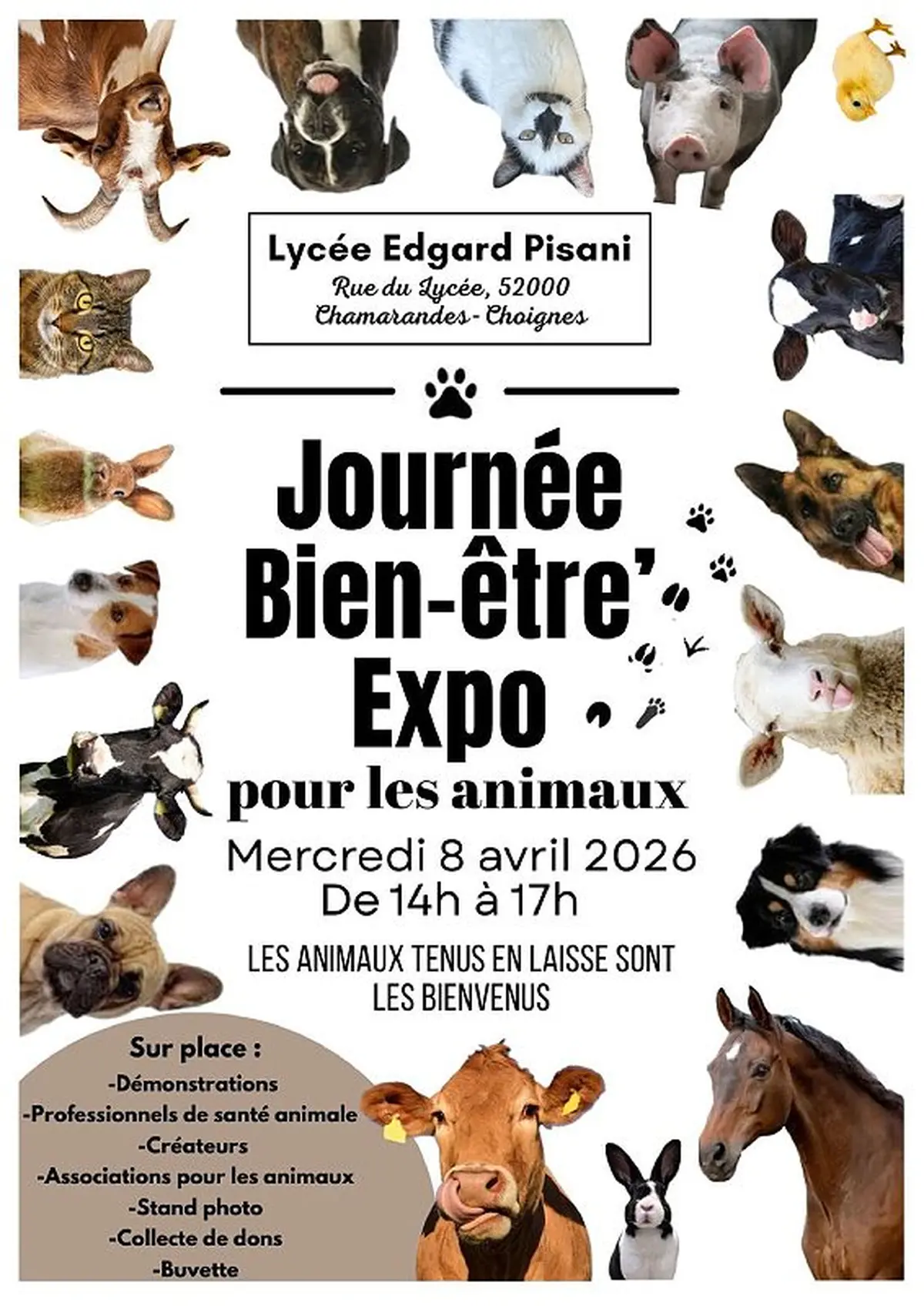 Journée bien-être expo pour les animaux