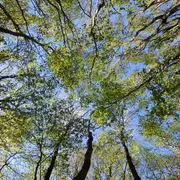 Journée biodiversité