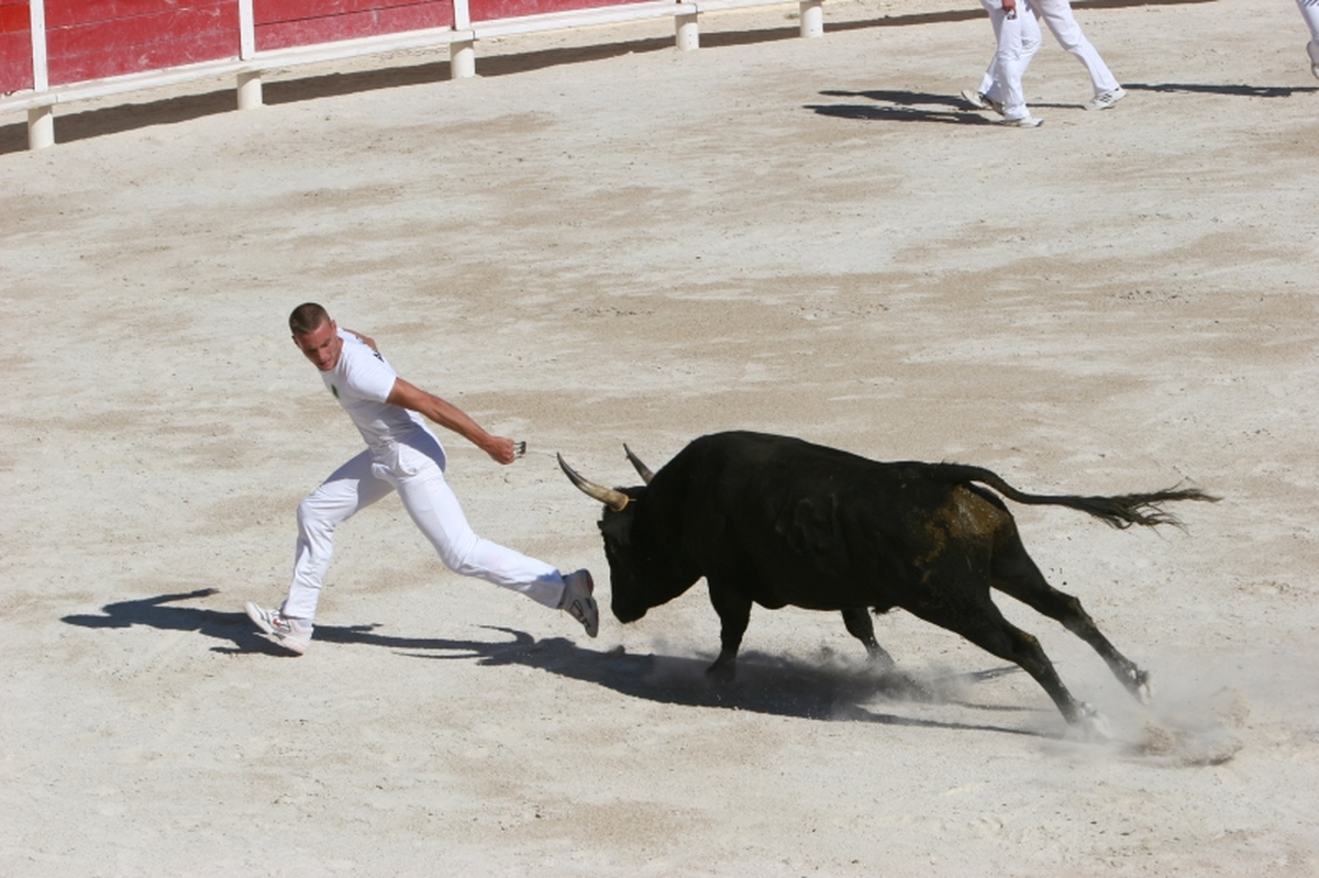 Journée camarguaise organisée le club taurin Mireille