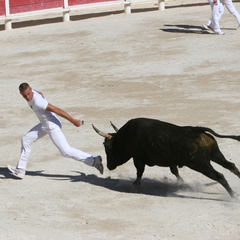 Journée camarguaise organisée le club taurin Mireille