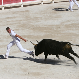 Journée camarguaise organisée le club taurin Mireille