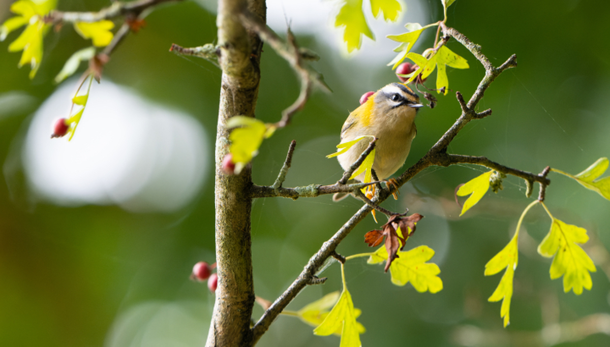 Journée conviviale avec la LPO
