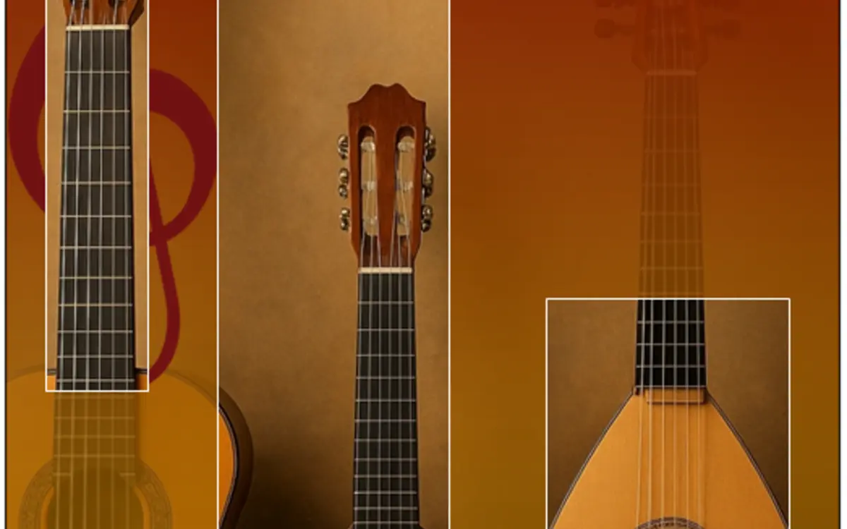 Journée  Cordes Pincées