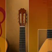 Journée Cordes Pincées (Masterclass et concert)