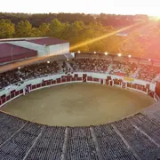Journée coursayre, Course landaise