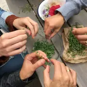 Journée cueillette de plantes sauvages à Chevannes