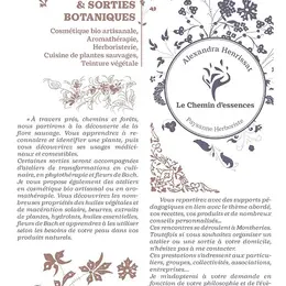 Journée d'initiation à la teinture végétale et repas partagé
