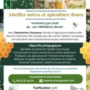 Journée d'initiation apiculture : abeilles noires et apiculture douce