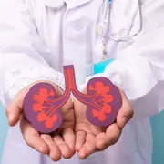 Journée de dépistage des maladies rénales à l'IMM