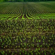 Journée de l'agriculture