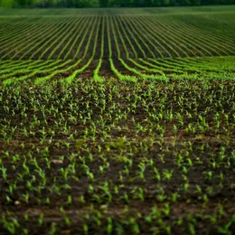 Journée de l'agriculture