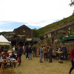 Journée De La Châtaigne