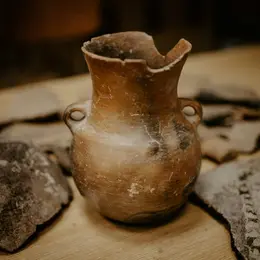 Journée de la détermination archéologie
