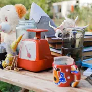 Journée De La Gratuité