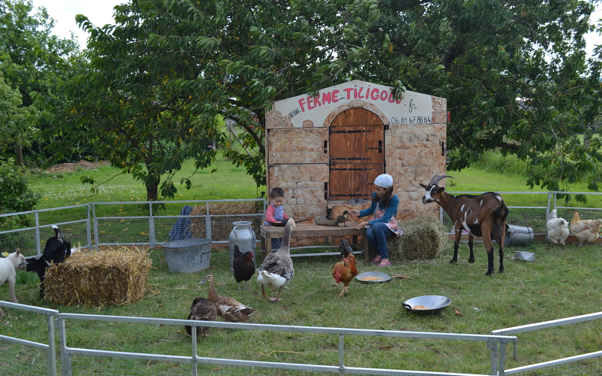 Journée de la terre nourricière : ferme pédagogique, ateliers et expo !