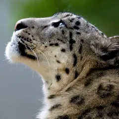 Journée découverte au Zoo de Mulhouse en 2026