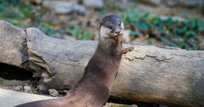 Journ&eacute;e d&eacute;couverte au Zoo de Mulhouse