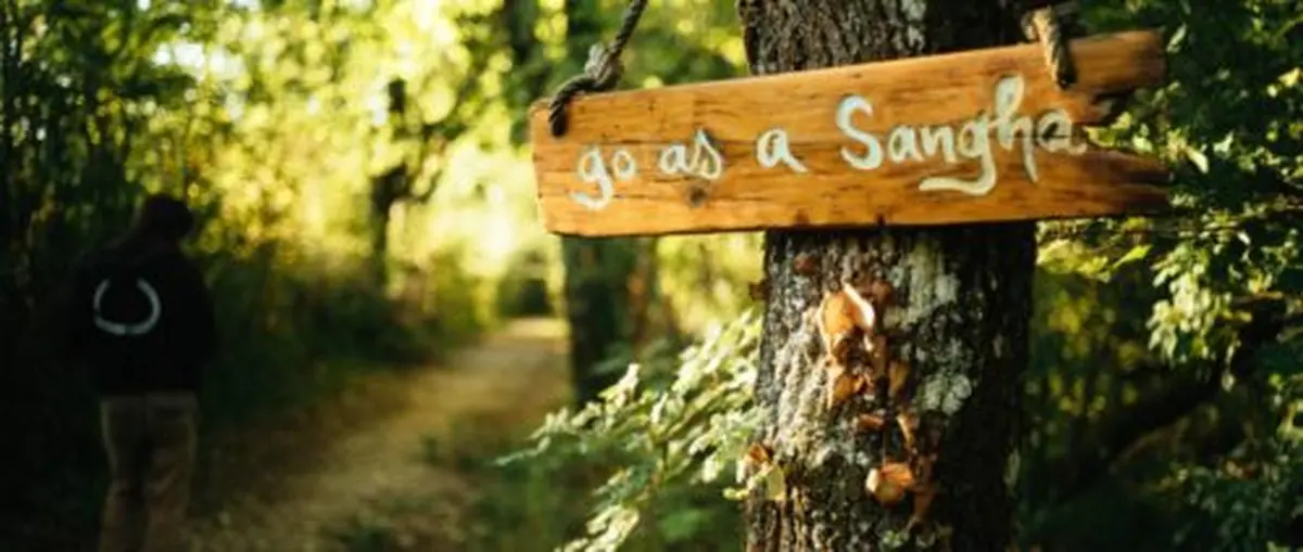 Journée Découverte de la pleine conscience