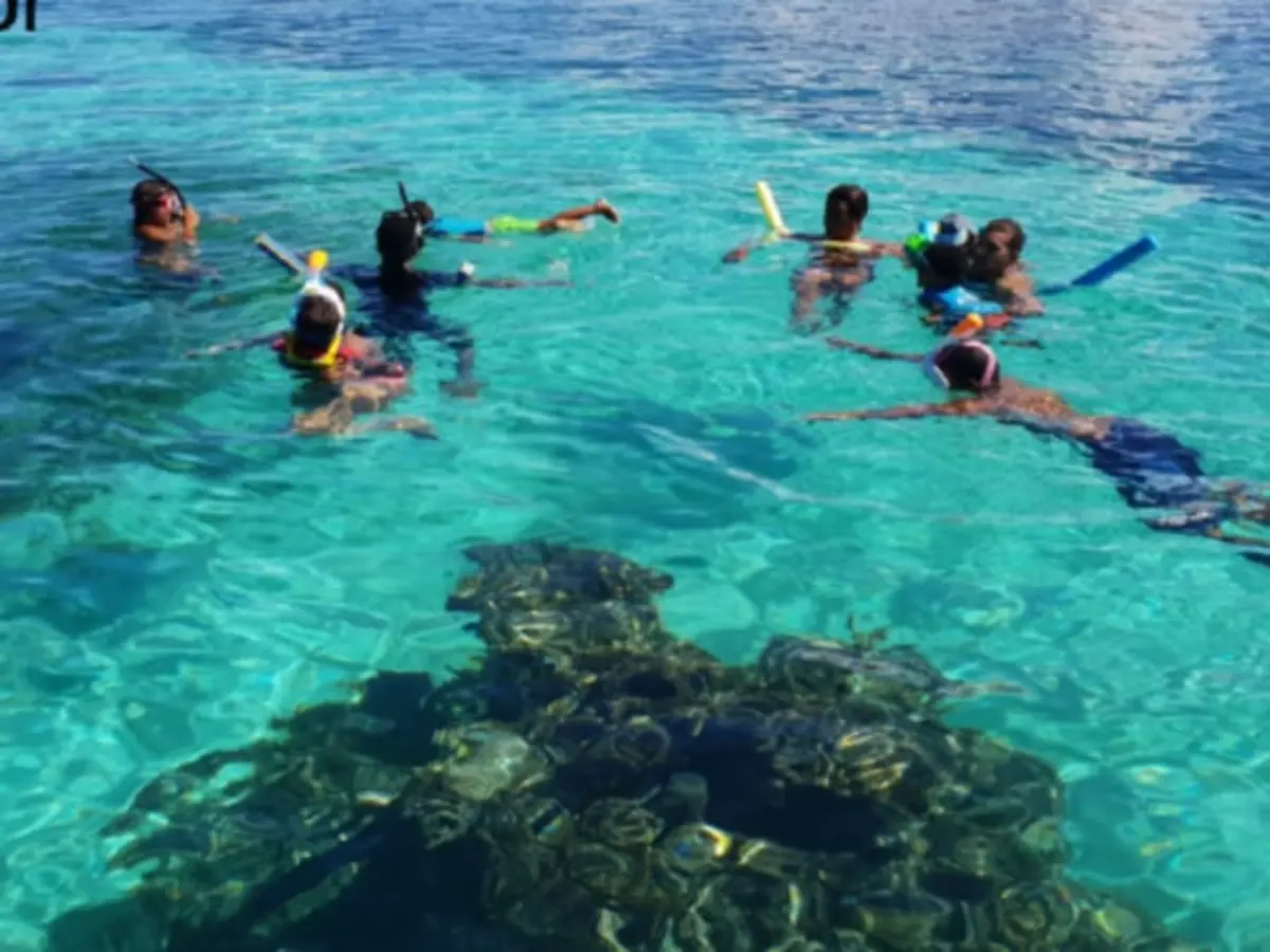 Journée découverte des merveilles de la Guadeloupe de Saint-Rose