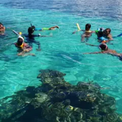 Journée découverte des merveilles de la Guadeloupe de Saint-Rose