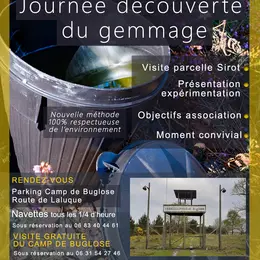 Journée découverte gemmage