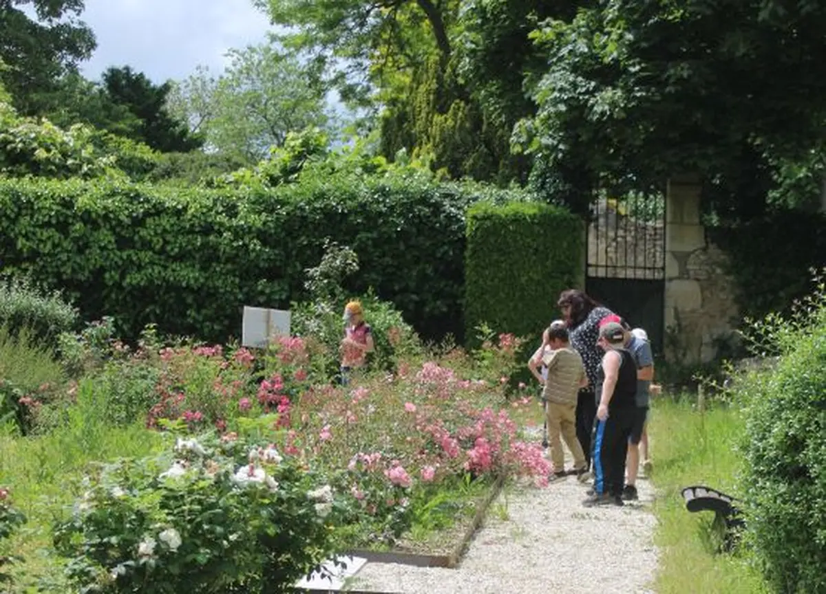 Journée découverte : La rose dans tous ses états