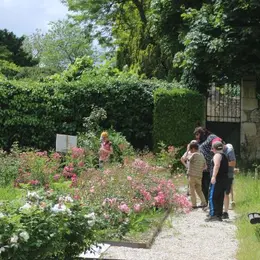 Journée découverte : La rose dans tous ses états