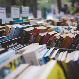 Journée des bouquinistes au Bugue