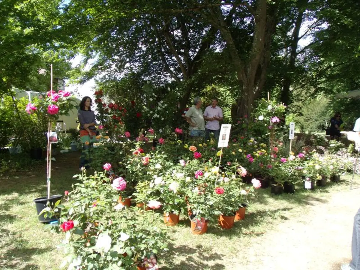 Journée des plantes : exposition-vente