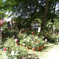 Journée des plantes : exposition-vente