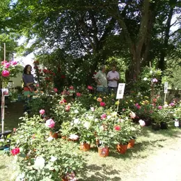 Journée des plantes : exposition-vente