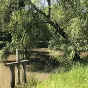 Journée des zones humides