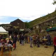 Journée Du Châtaignier