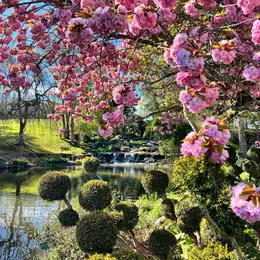 Journée du patrimoine au Parc Floral