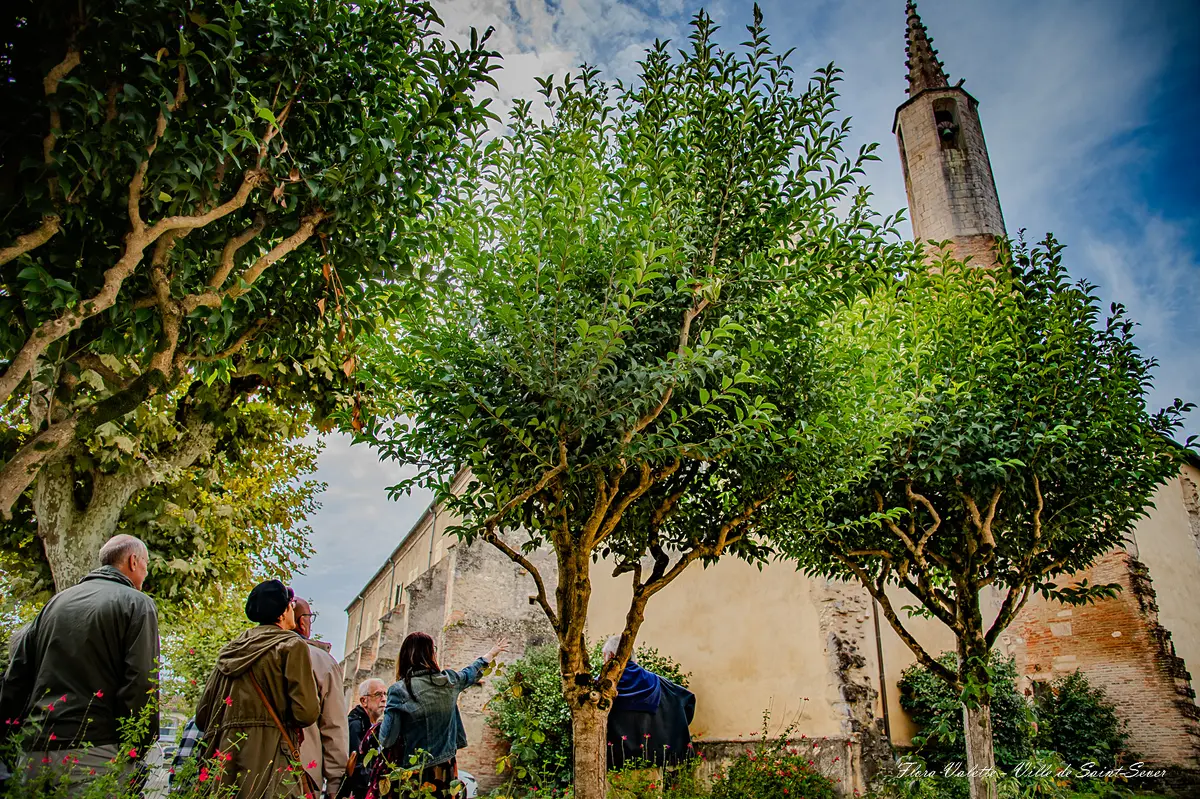 Journée du patrimoine : Visite Remparts Secrets