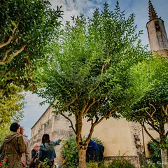 Journée du patrimoine : Visite Remparts Secrets
