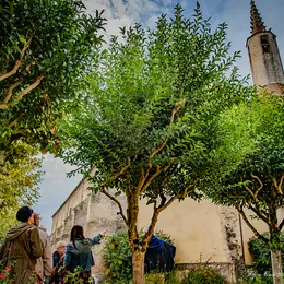 Journée du patrimoine : Visite Remparts Secrets
