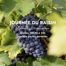 Journée du raisin à Château Paradis