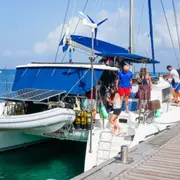 Journée en catamaran plongée et dauphins aux Anses-d'Arlet (972)