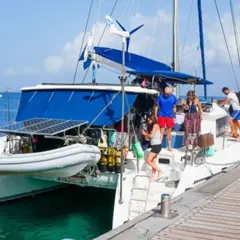 Journée en catamaran plongée et dauphins aux Anses-d'Arlet (972)