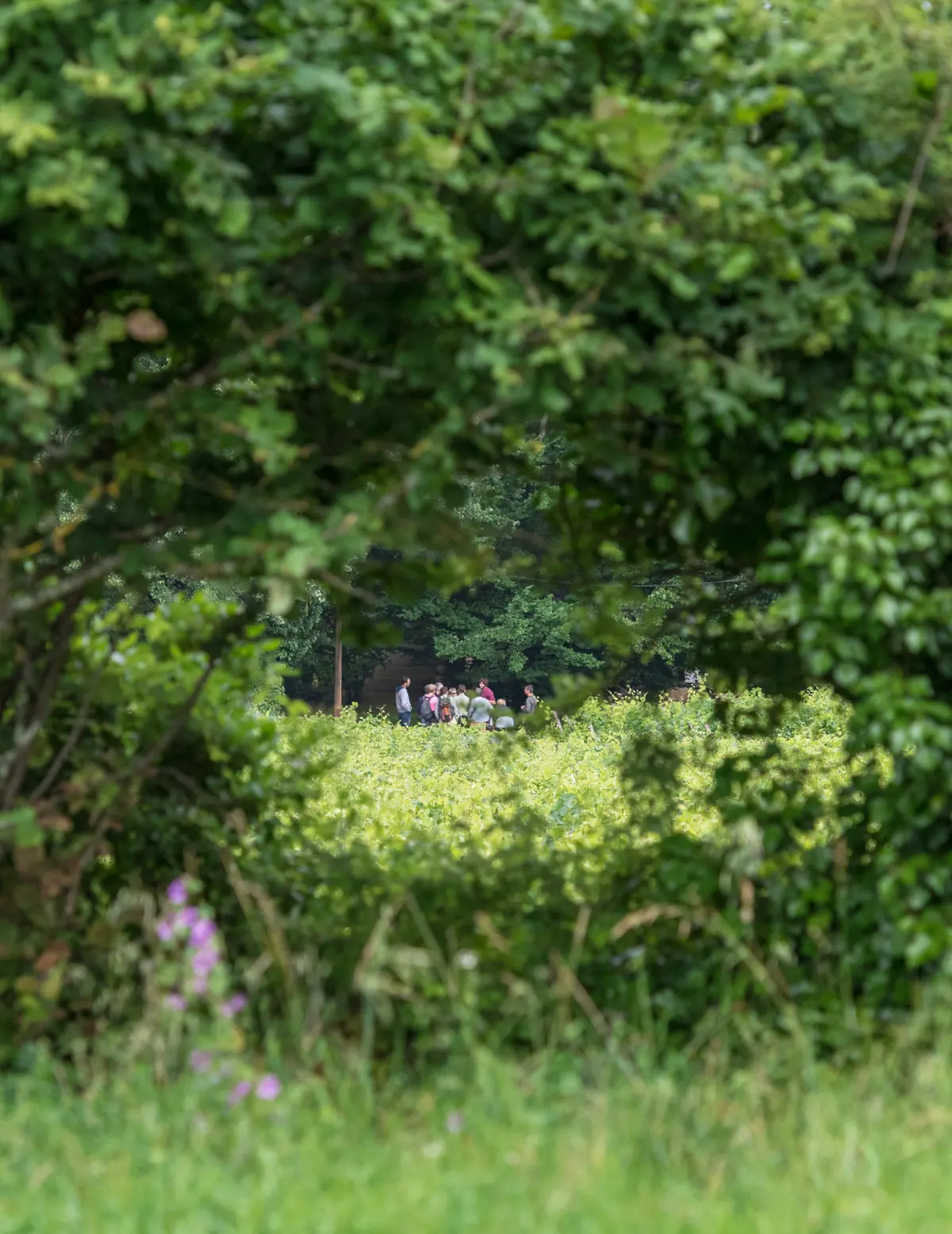 Journée en Charente