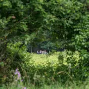 Journée en Charente