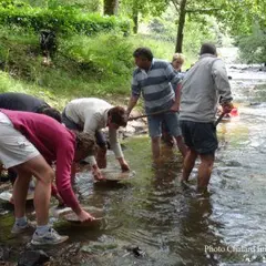 Journée en Or