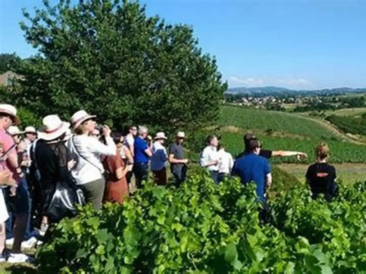 Journée Escapade vigneronne depuis Lyon (69)